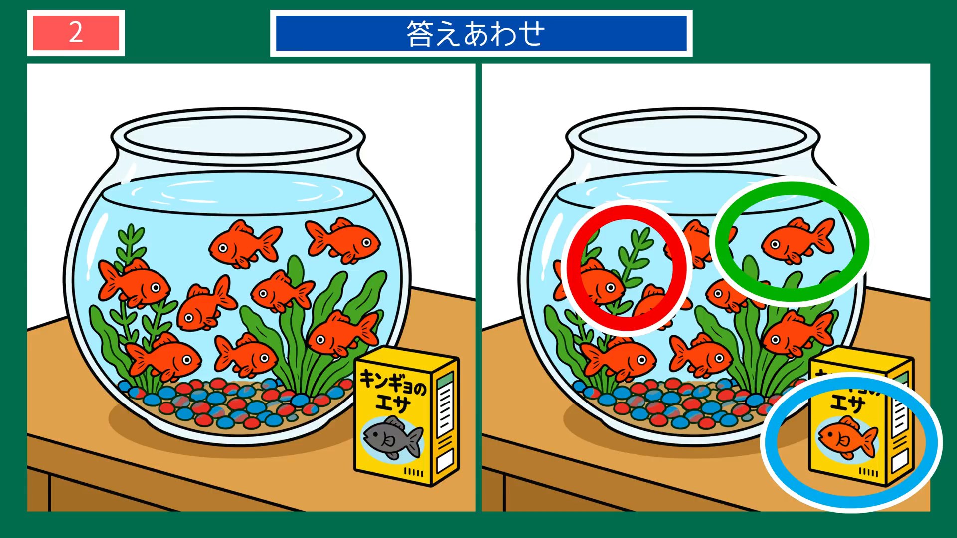 夏から秋へのくらしの間違い探し 第2問 金魚鉢の答え