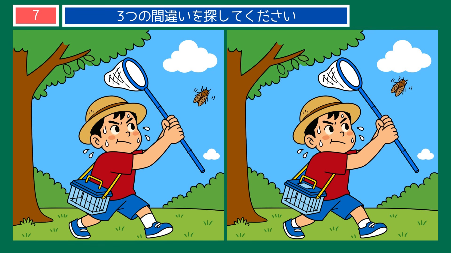 夏の日のできごとの間違い探し 第7問 虫とりの問題イラスト
