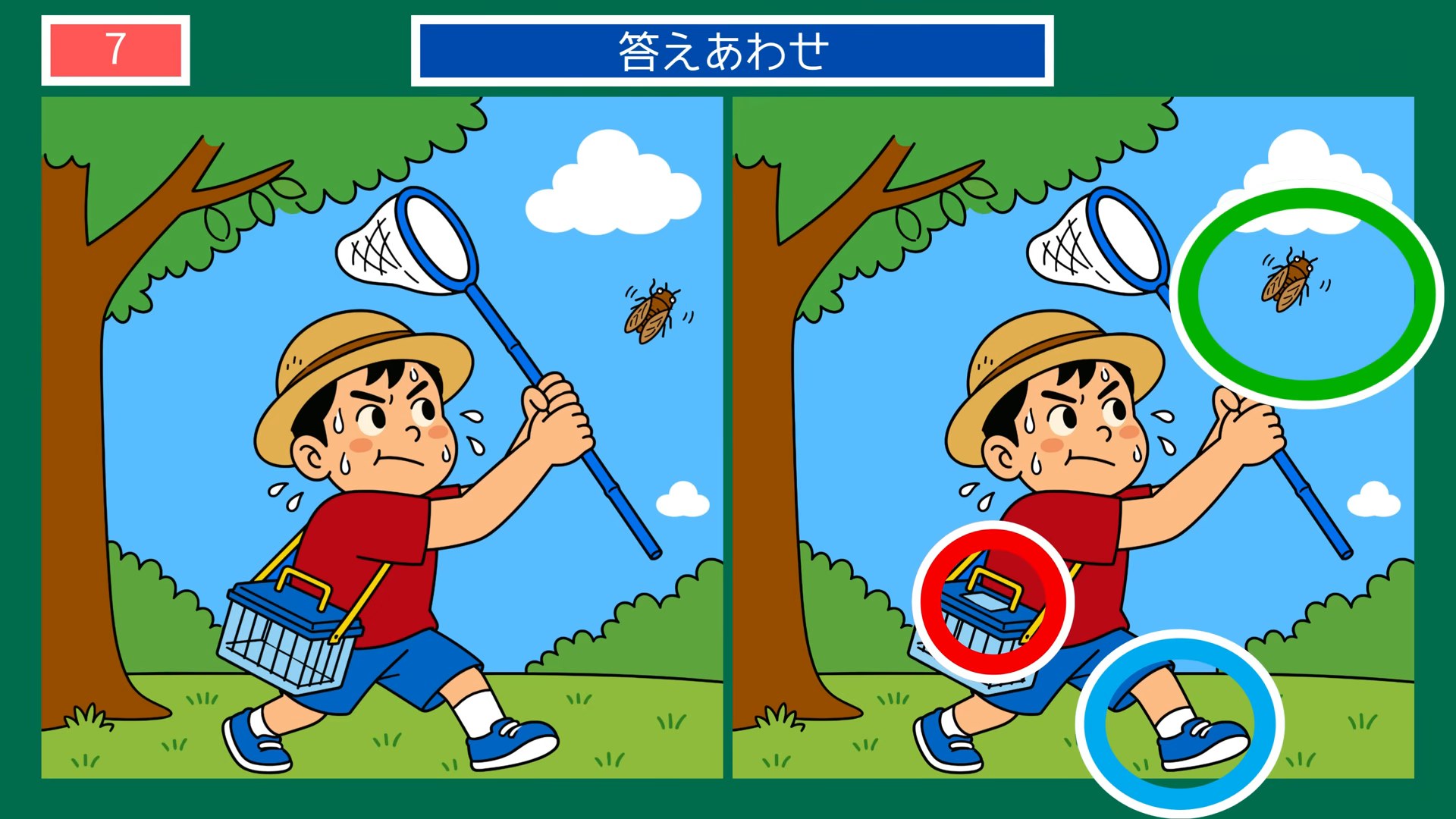 夏の日のできごとの間違い探し 第7問 虫とりの答え