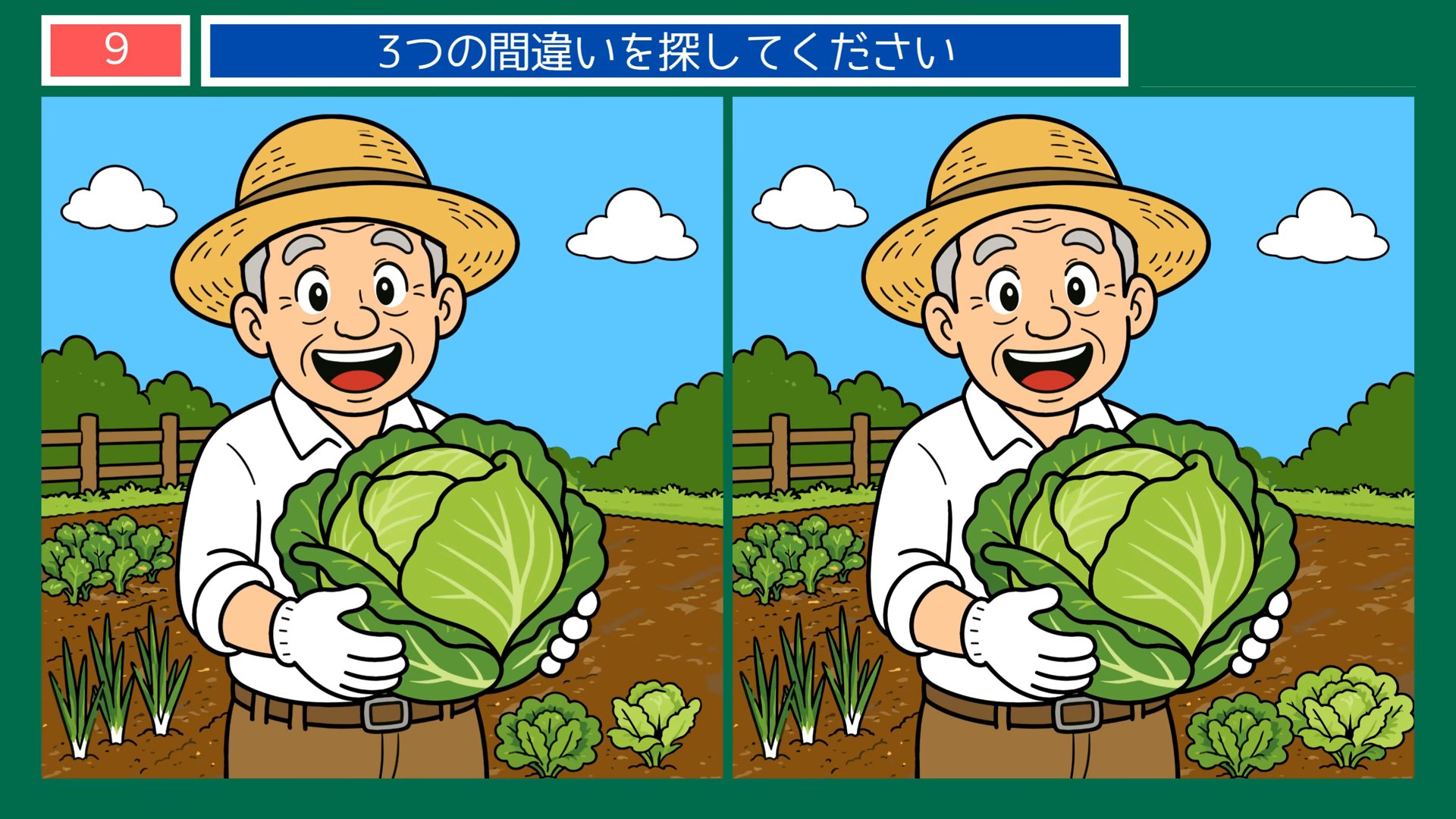 夏の日のできごとの間違い探し 第9問 畑のキャベツの問題イラスト
