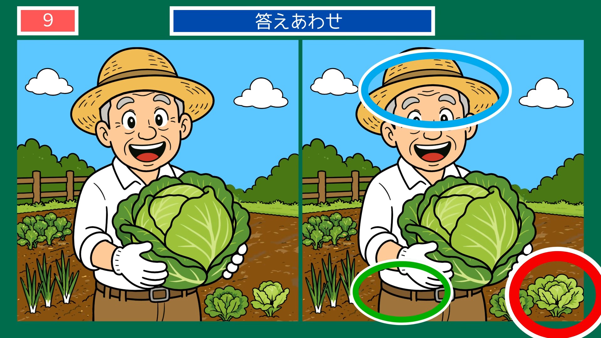 夏の日のできごとの間違い探し 第9問 畑のキャベツの答え