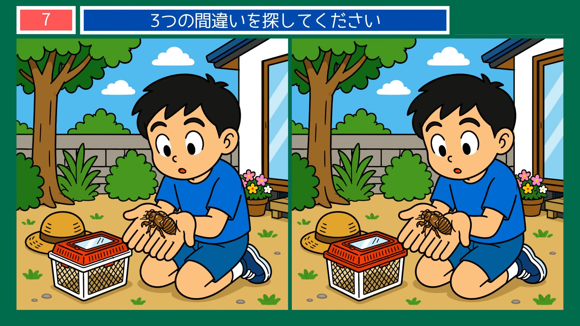 夏の暮らしのひとコマの間違い探し 第7問 カブトムシと虫かごの問題イラスト