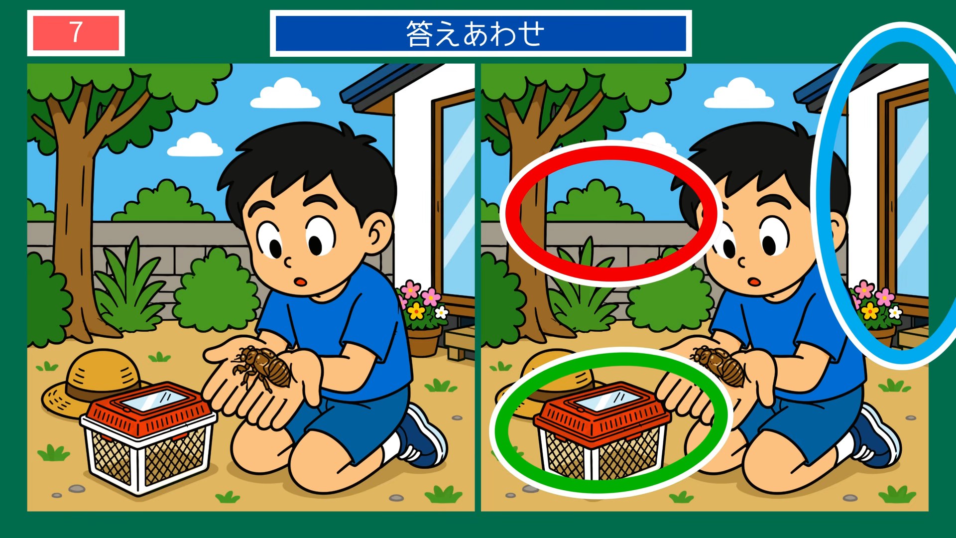夏の暮らしのひとコマの間違い探し 第7問 カブトムシと虫かごの答え