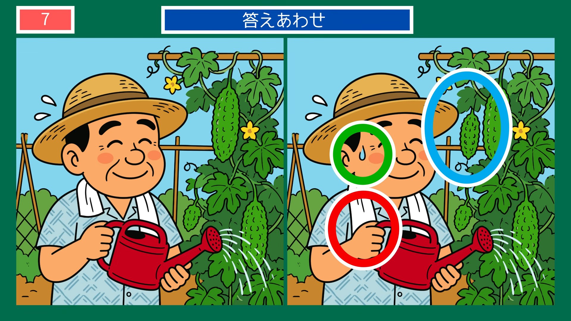 夏の節電とエコな暮らしの間違い探し 第6問 ゴーヤに水をやるの答え