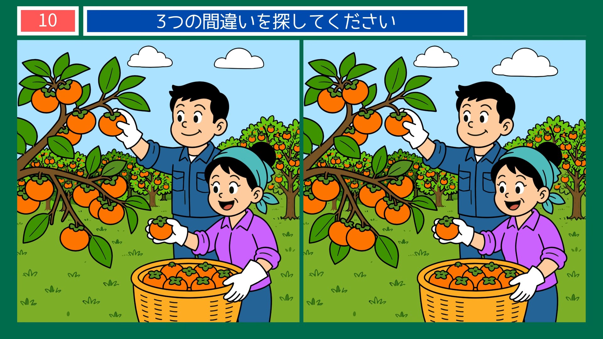 新潟県の間違い探し 第10問 柿の収穫の問題イラスト