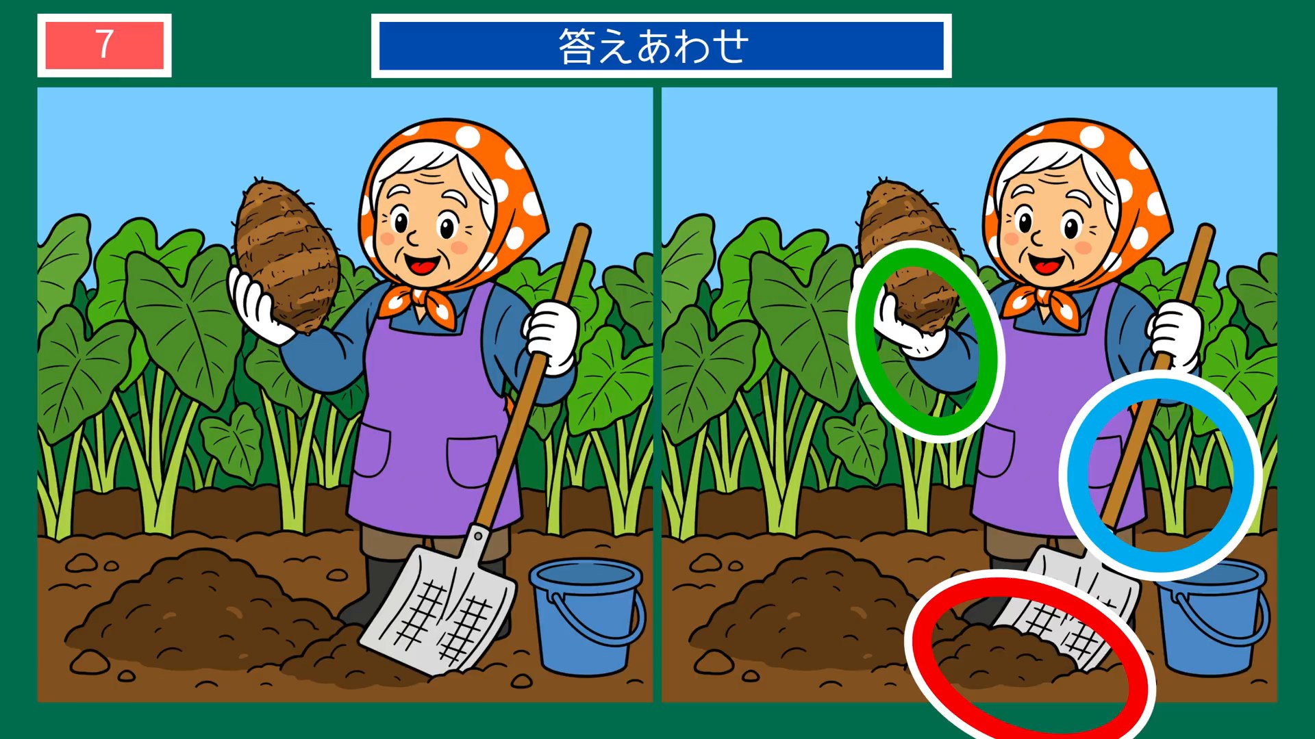 にっぽんの暮らしめぐりの間違い探し 第7問 里芋の収穫の答え
