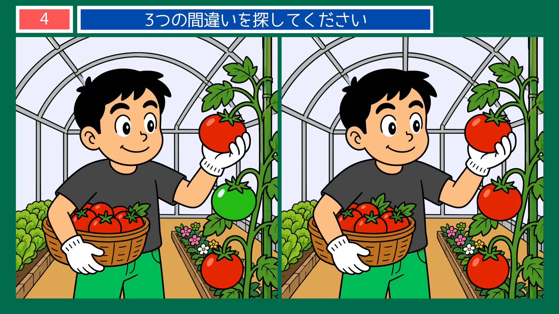 のんびり過ごす一日の間違い探し 第4問 トマトの収穫の問題イラスト