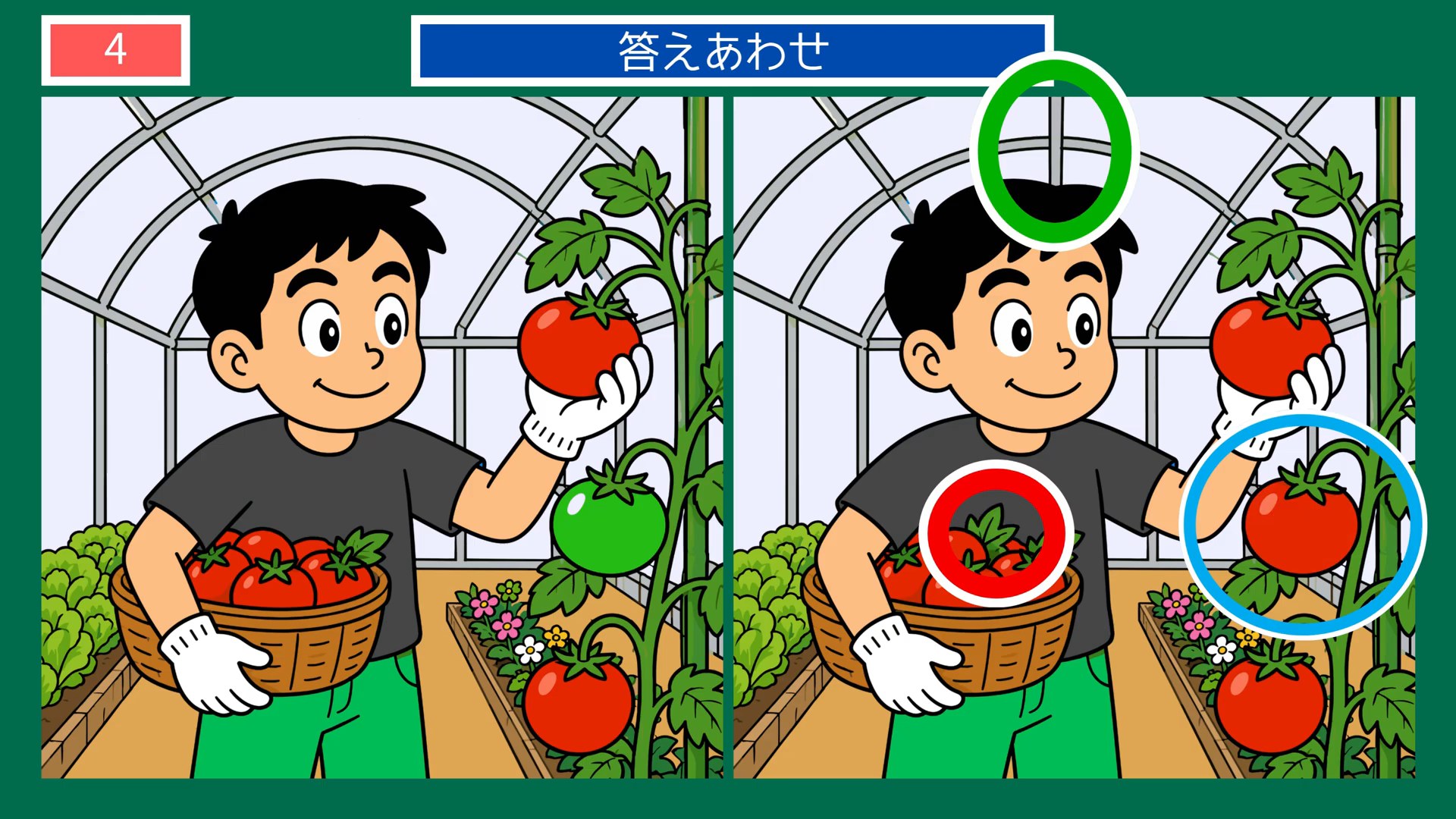 のんびり過ごす一日の間違い探し 第4問 トマトの収穫の答え