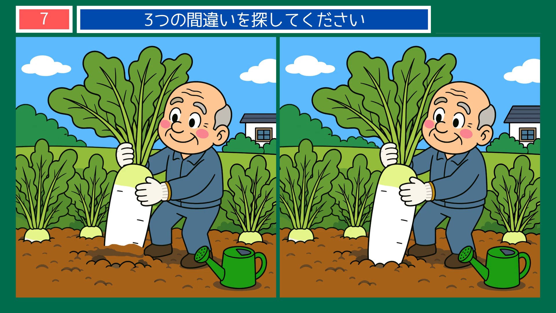 おいしい毎日の間違い探し 第7問 大根の収穫の問題イラスト