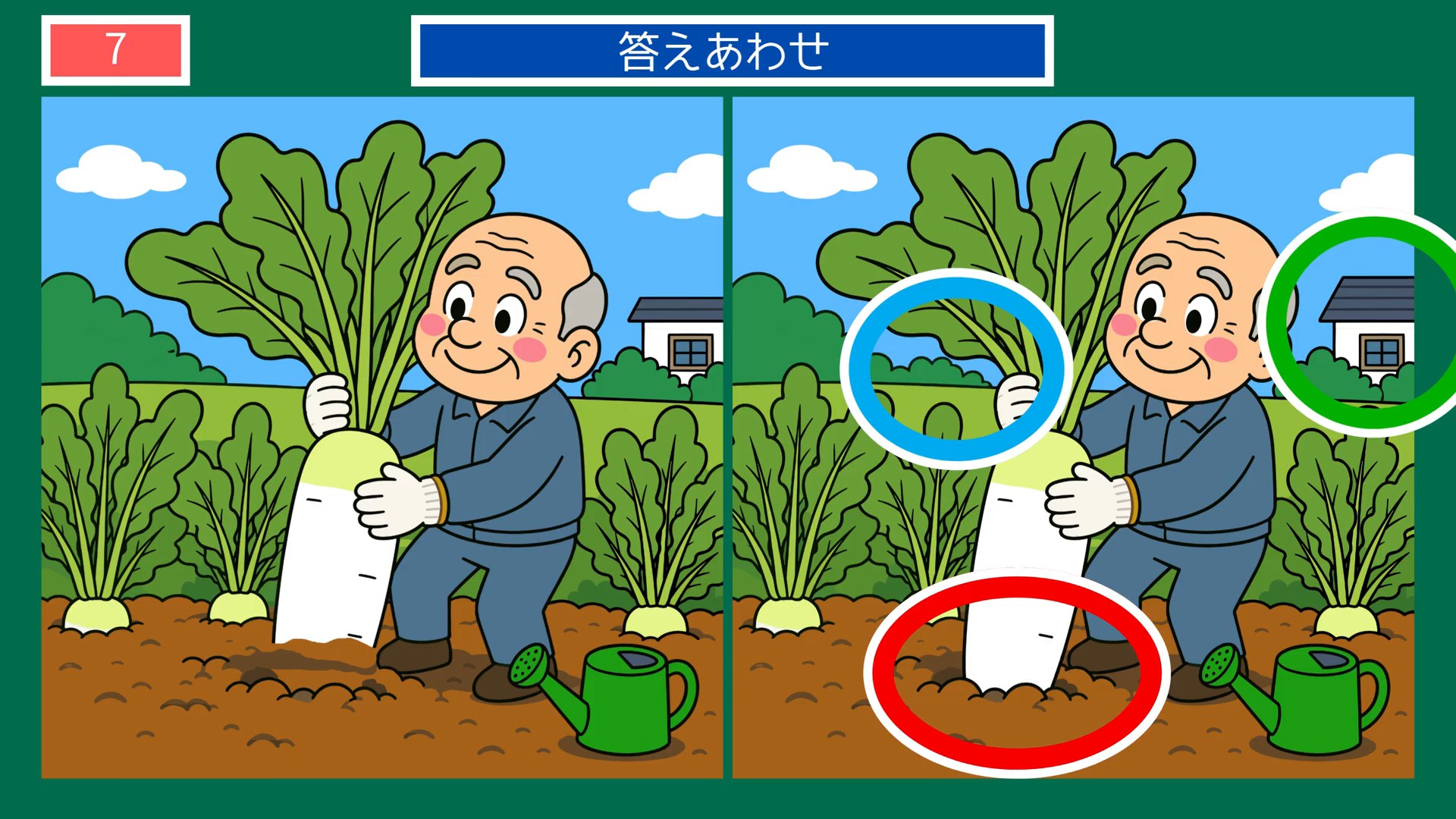 おいしい毎日の間違い探し 第7問 大根の収穫の答え
