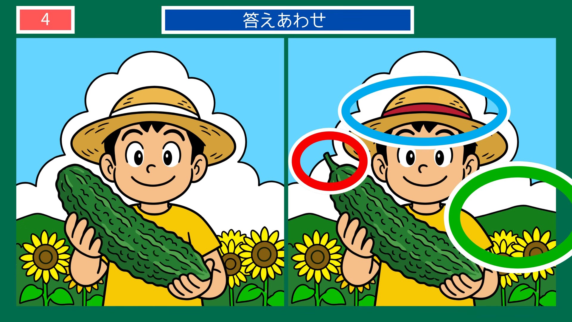 沖縄の暮らしの間違い探し 第4問 ゴーヤーの畑での答え