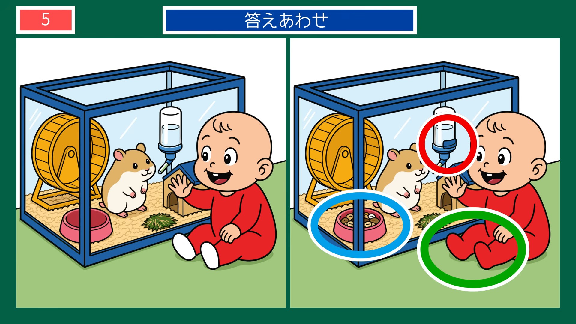ペットとの暮らしの間違い探し 第5問 ハムスターをながめるの答え