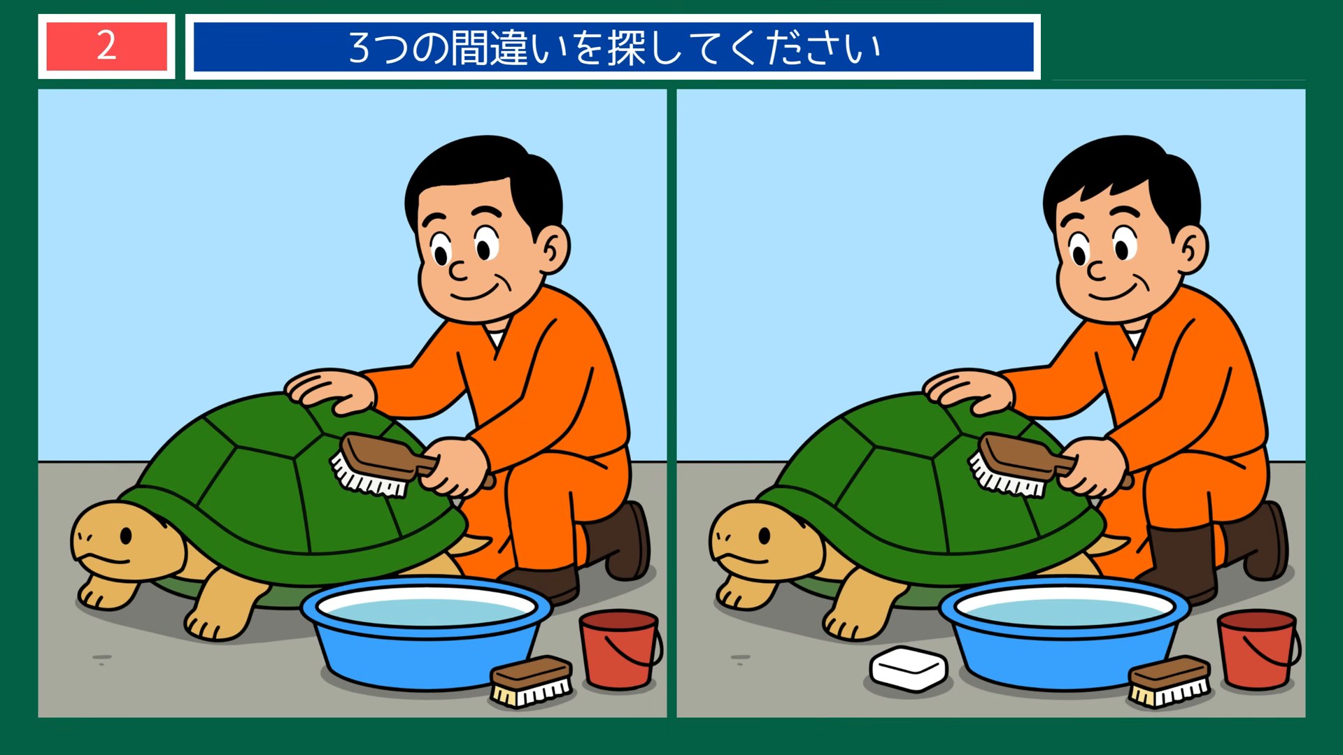 ペットとの暮らしの間違い探し 第2問 カメを洗うの問題イラスト