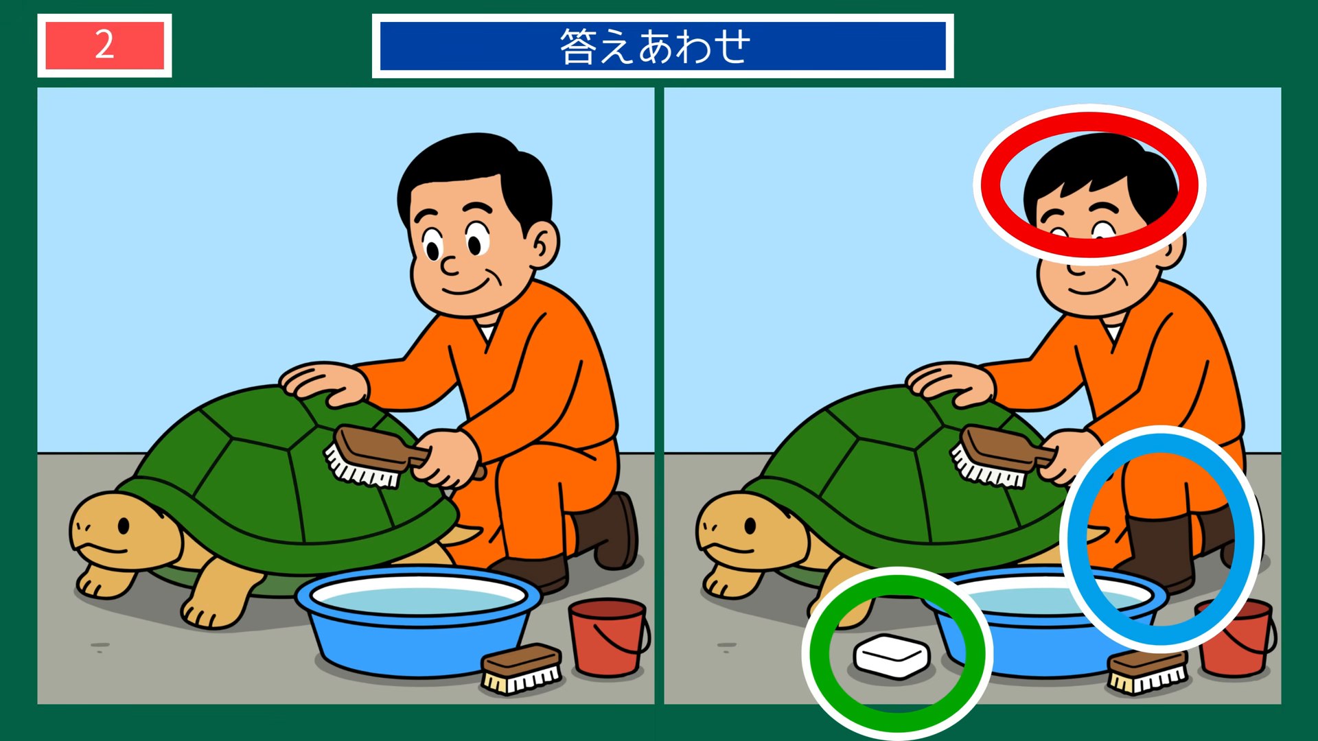 ペットとの暮らしの間違い探し 第2問 カメを洗うの答え