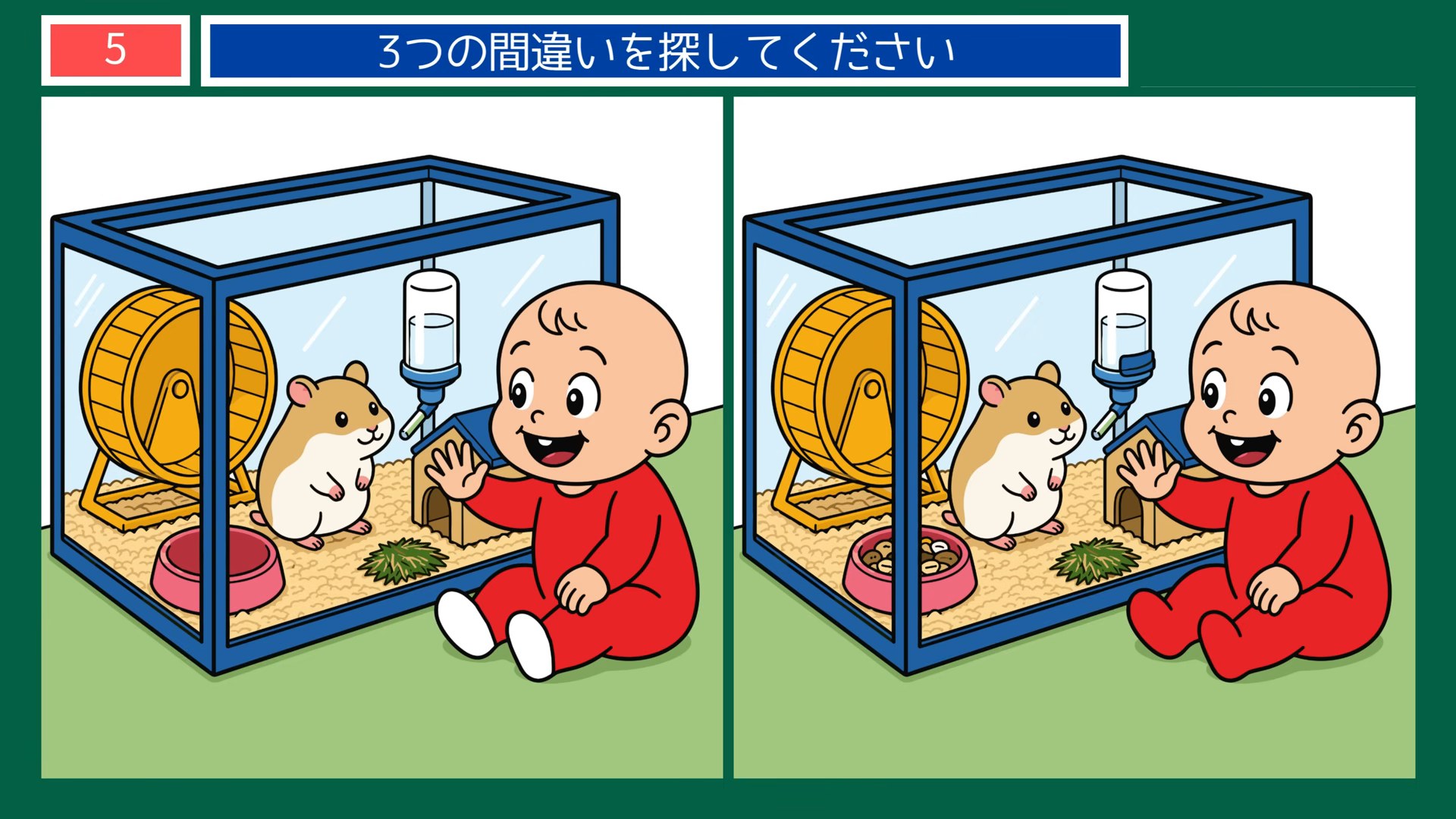 ペットとの暮らしの間違い探し 第5問 ハムスターをながめるの問題イラスト