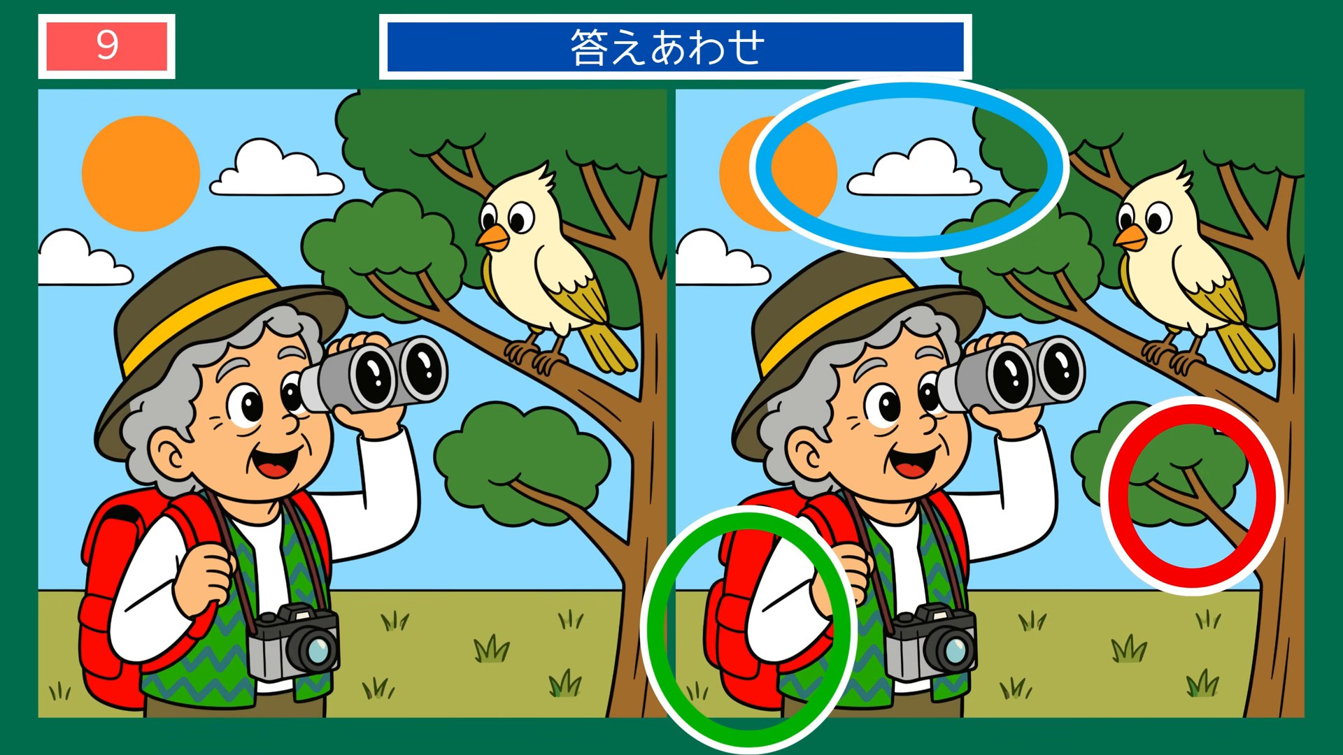 四季の楽しみの間違い探し 第8問 野鳥観察の答え