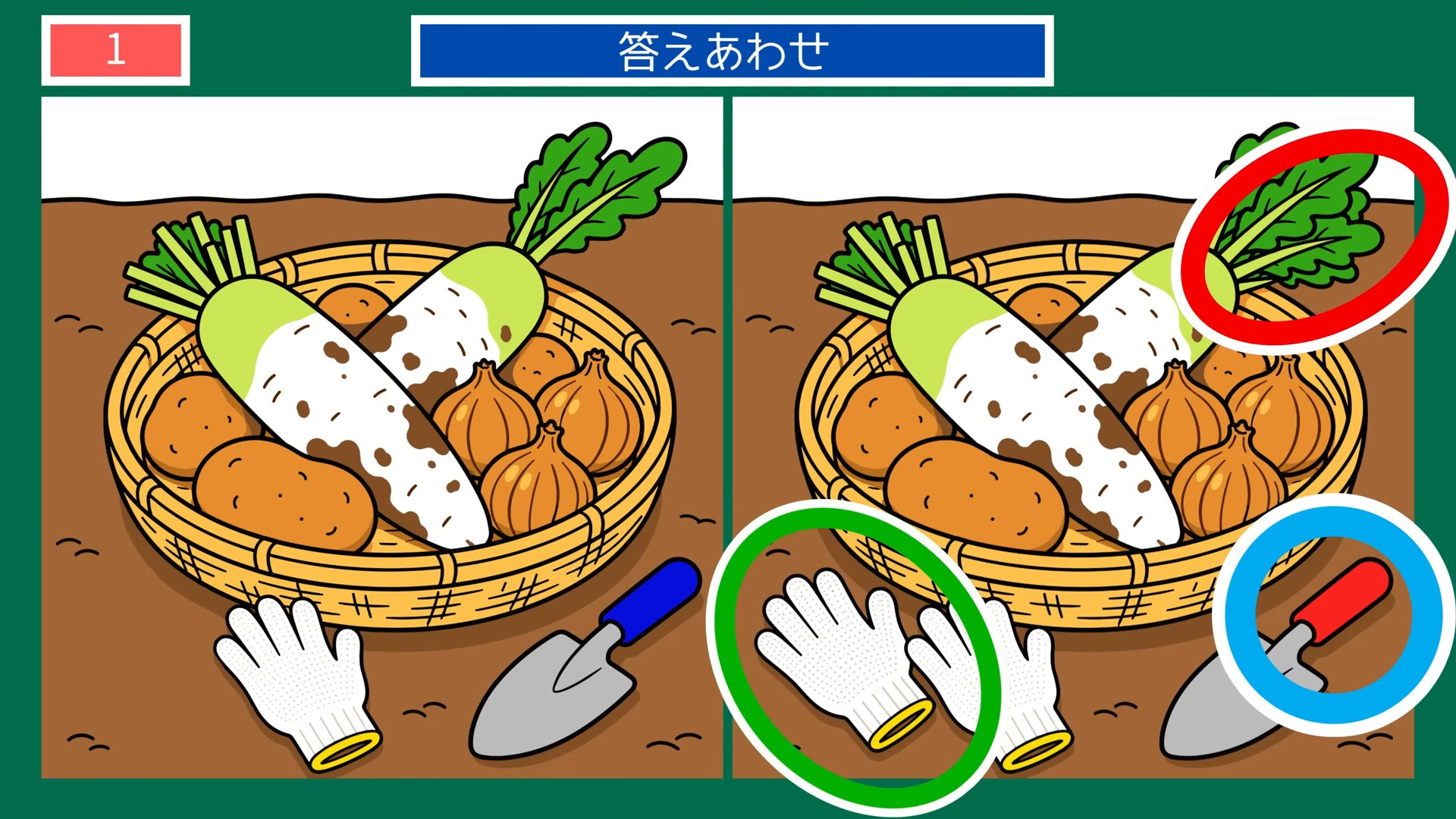 初夏の暮らしの間違い探し 第1問 とれたての野菜の答え