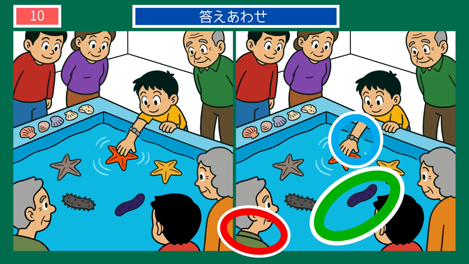 水族館の一日の間違い探し 第8問 触れ合いの水槽の答え