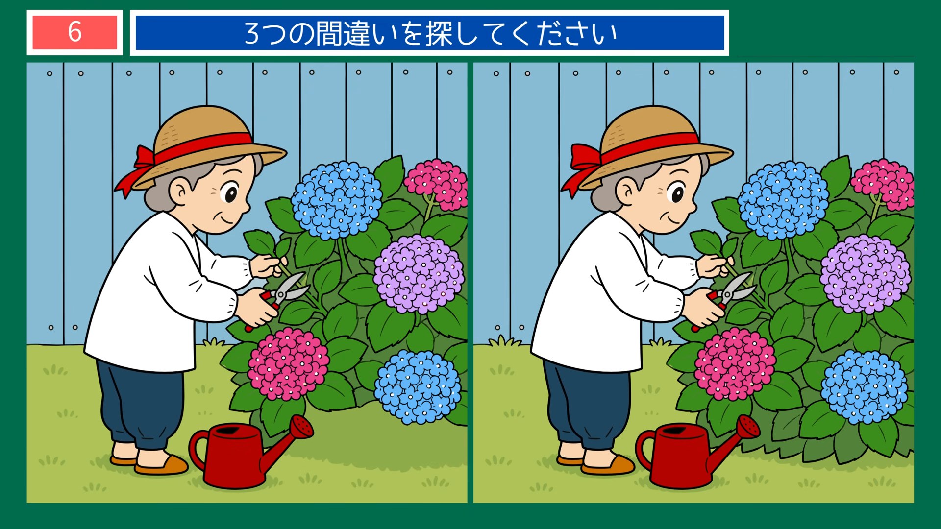梅雨のくらしの間違い探し 第6問 あじさいの手入れの問題イラスト