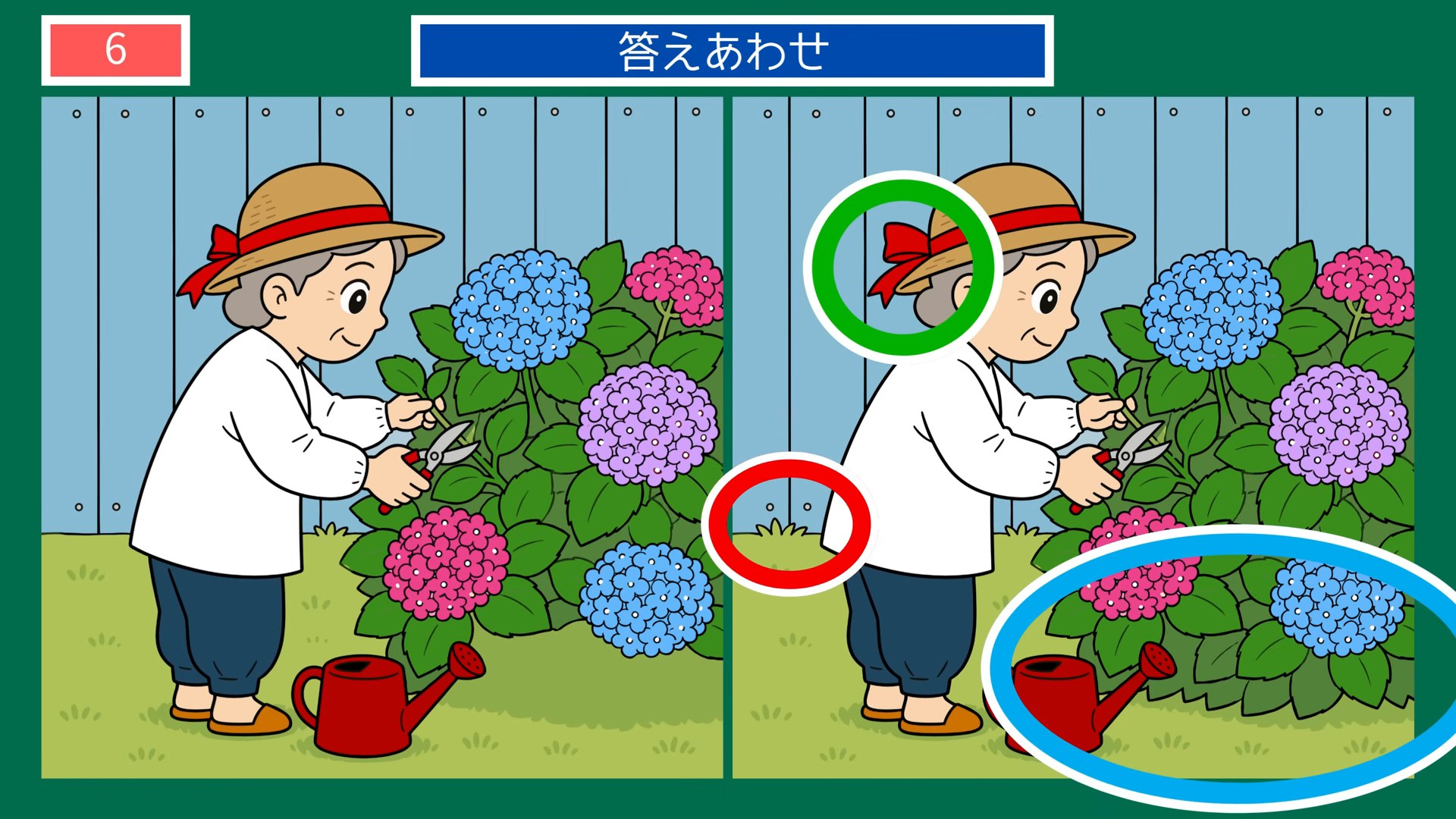 梅雨のくらしの間違い探し 第6問 あじさいの手入れの答え