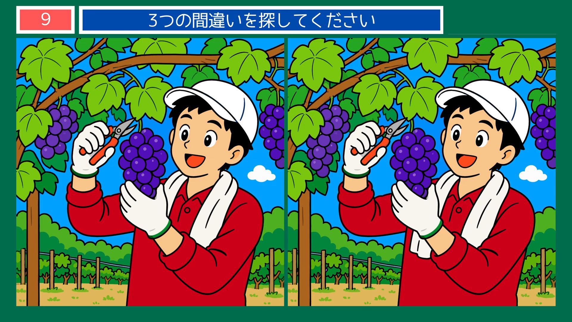 山梨県の間違い探し 第7問 ぶどう畑の仕事の問題イラスト
