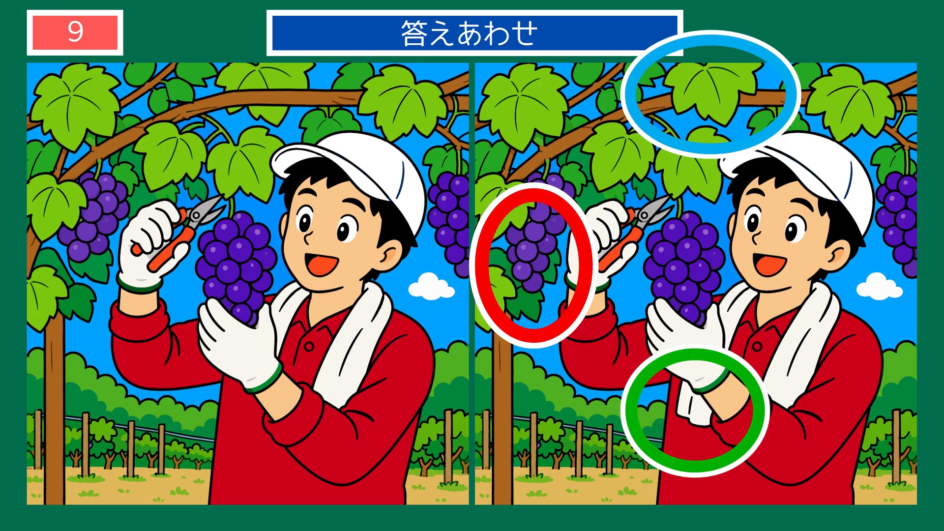 山梨県の間違い探し 第7問 ぶどう畑の仕事の答え